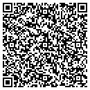 QR code with Promises Inc contacts