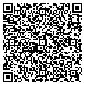 QR code with Lumber contacts
