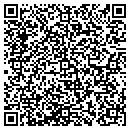 QR code with Professional LLC contacts