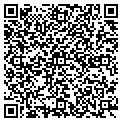 QR code with Z-Comm contacts
