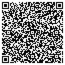 QR code with Cybersafe Corp contacts