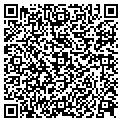 QR code with Hashimi contacts
