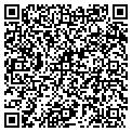 QR code with Dsm Enterprise contacts
