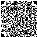 QR code with Puzzled Projects contacts