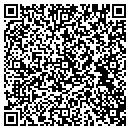 QR code with Preview Depot contacts