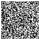 QR code with Carefree Technology contacts
