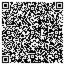 QR code with Blue Zebra Painting contacts