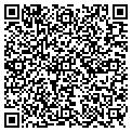 QR code with D-Wall contacts
