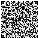 QR code with Cyrious Painting contacts