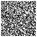QR code with Puppets Plus contacts