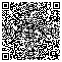 QR code with Willey contacts