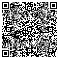 QR code with N Carr contacts