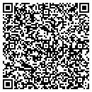 QR code with Conceptual Systems contacts