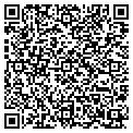 QR code with Signco contacts