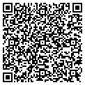 QR code with Bolden contacts