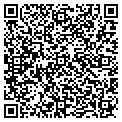 QR code with Modine contacts