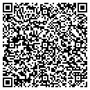 QR code with Chills & Thrills Inc contacts