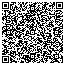 QR code with Caneias Painting Group contacts
