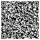 QR code with Colors Of Houston contacts