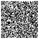 QR code with Pree Precision Painting contacts
