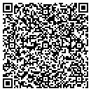 QR code with Bison Painting contacts