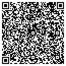 QR code with Progress USA Painting contacts