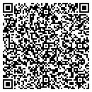 QR code with Pro Service Painting contacts