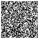 QR code with Pro Painters Etc contacts