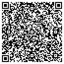 QR code with Precision Paperworks contacts