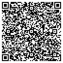 QR code with Professional Paper Hanging contacts