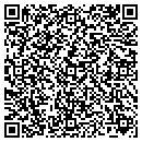 QR code with Prive Investments Inc contacts