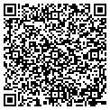 QR code with V T contacts