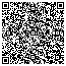QR code with Blueprint Painting LLC contacts