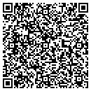 QR code with Carvers Stone contacts