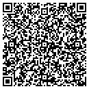 QR code with Professional Ccs contacts