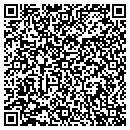 QR code with Carr Riggs & Ingram contacts