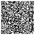 QR code with Base contacts