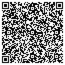 QR code with Castlemain Brian D MD contacts