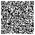 QR code with Insite contacts