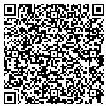 QR code with Incotax contacts