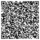 QR code with Crystal Art Galleries contacts