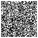 QR code with Professional Systems Installation contacts