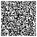 QR code with Problemshooters contacts