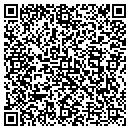 QR code with Carters Studios Inc contacts