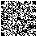 QR code with Precision Designs contacts