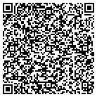 QR code with Pumpkin Productions Inc contacts