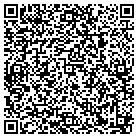 QR code with Amery Consulting Group contacts
