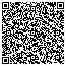 QR code with Public Storage contacts