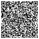QR code with Cavu Consulting Inc contacts