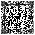 QR code with Bluemel Consulting Inc contacts